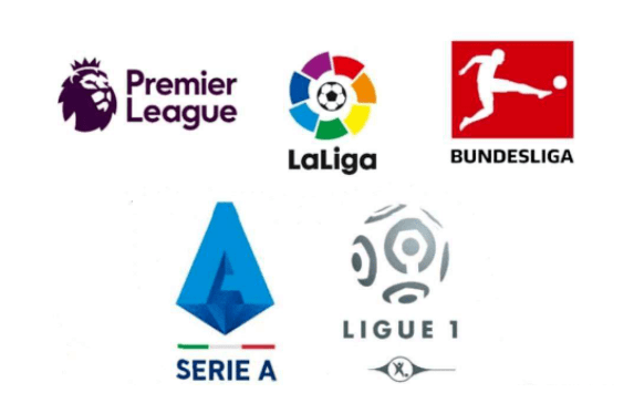 扎实的心理 扎实的心理